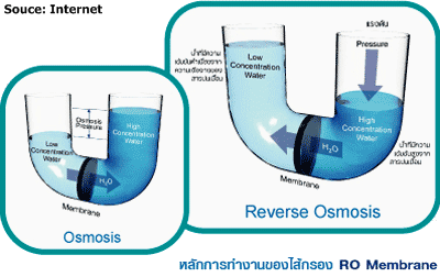 การทำงานของไส้กรอง RO (Reverse Osmosis)